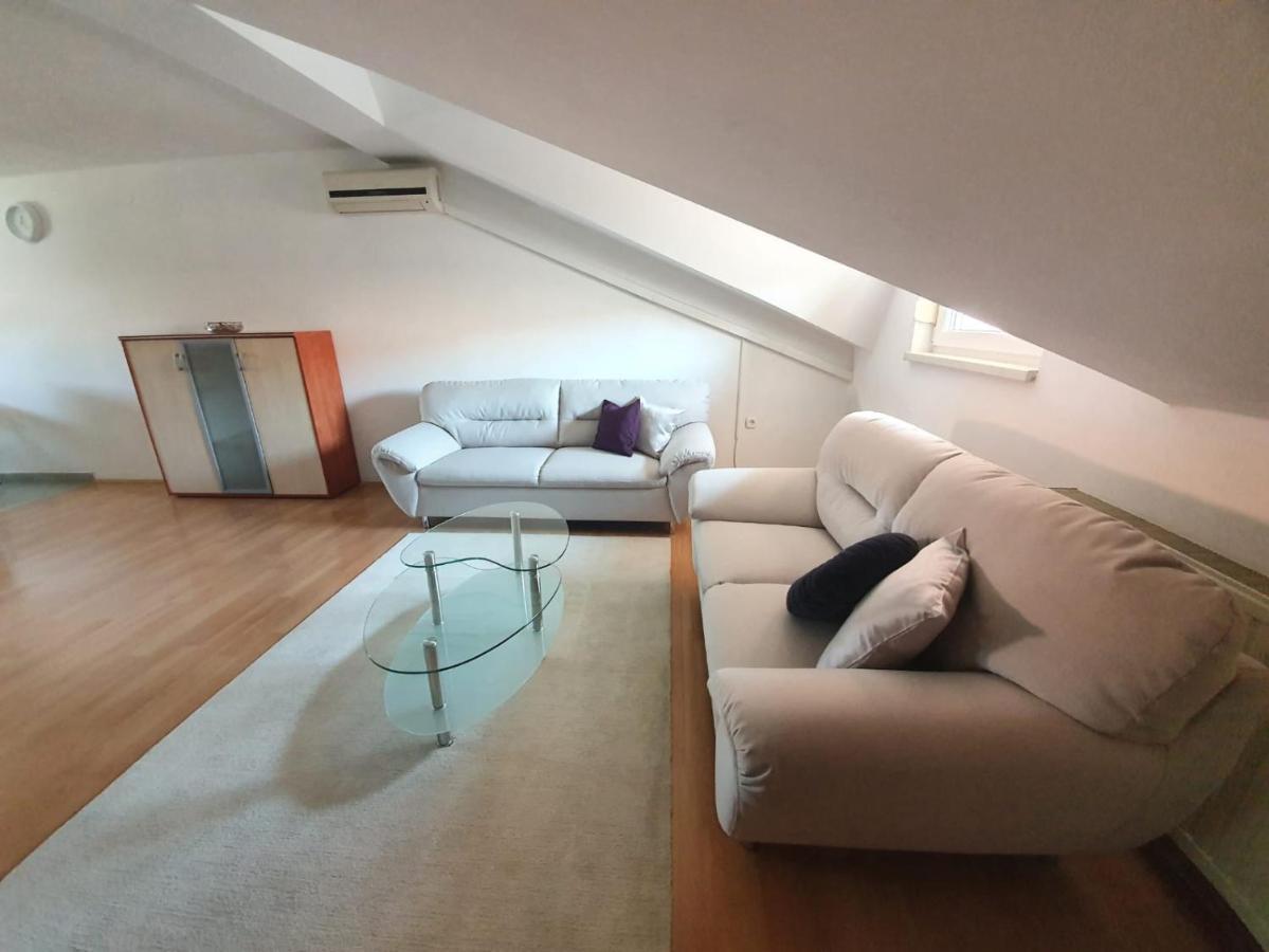 Apartment Lily Near Zagreb Airport Велика-Горица Экстерьер фото